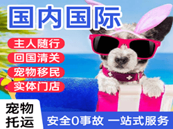 涟水航空快运国际宠物托运 【国